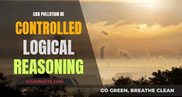 Controlling Pollution: Logical Reasoning for a Sustainable Future