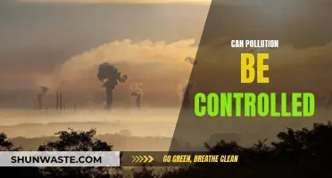 Controlling Pollution: Is It Possible?