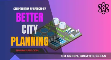 City Planning Strategies for Effective Pollution Reduction