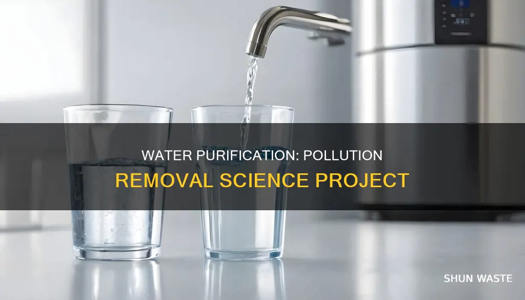 can pollution be removed from water science fair project