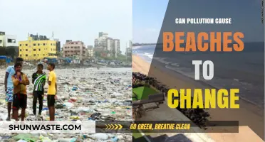 Pollution's Impact: Transforming Beaches, Shifting Coastlines