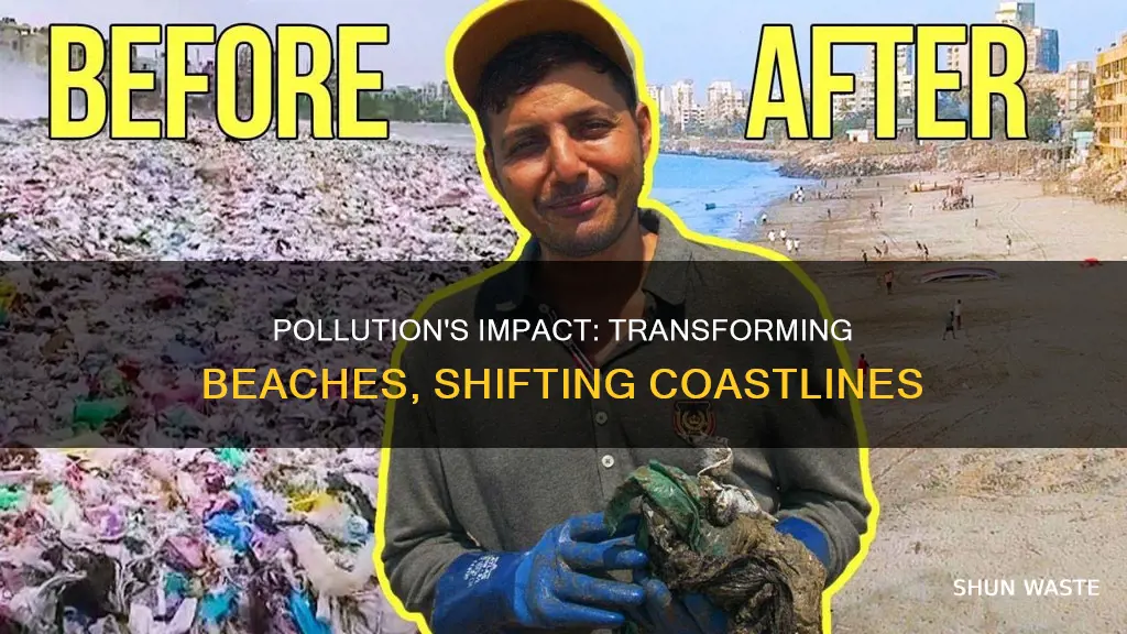 can pollution cause beaches to change