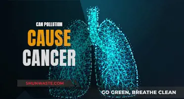 Pollution and Cancer: Is There a Link?