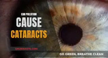 Pollution's Impact: Cataracts and Eye Health