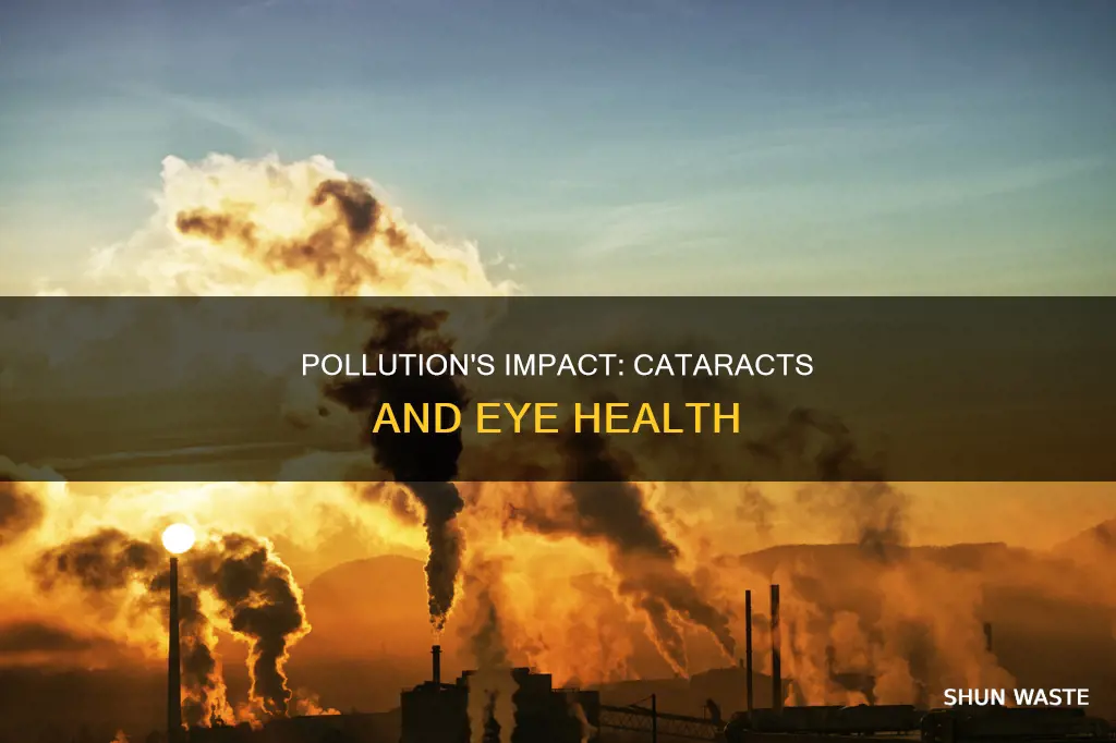 can pollution cause cataracts