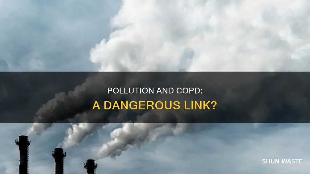 can pollution cause cobd