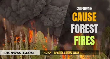 Forest Fires: Pollution's Role and Impact Explored