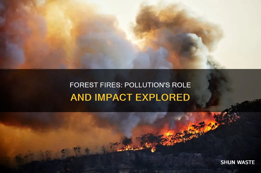 can pollution cause forest fires