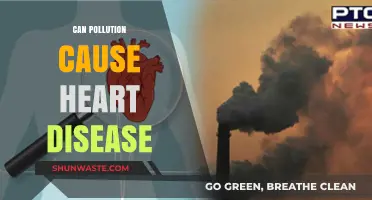 Unveiling the Link: Pollution's Impact on Heart Health