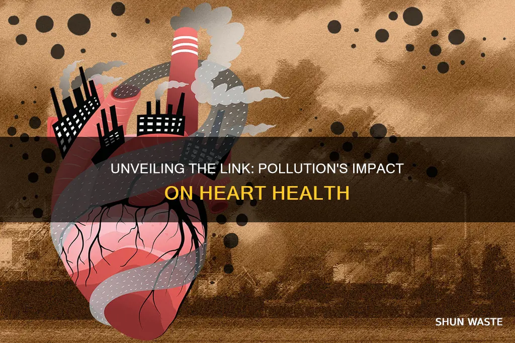 can pollution cause heart disease