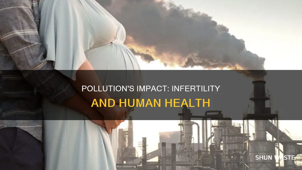 can pollution cause infertility