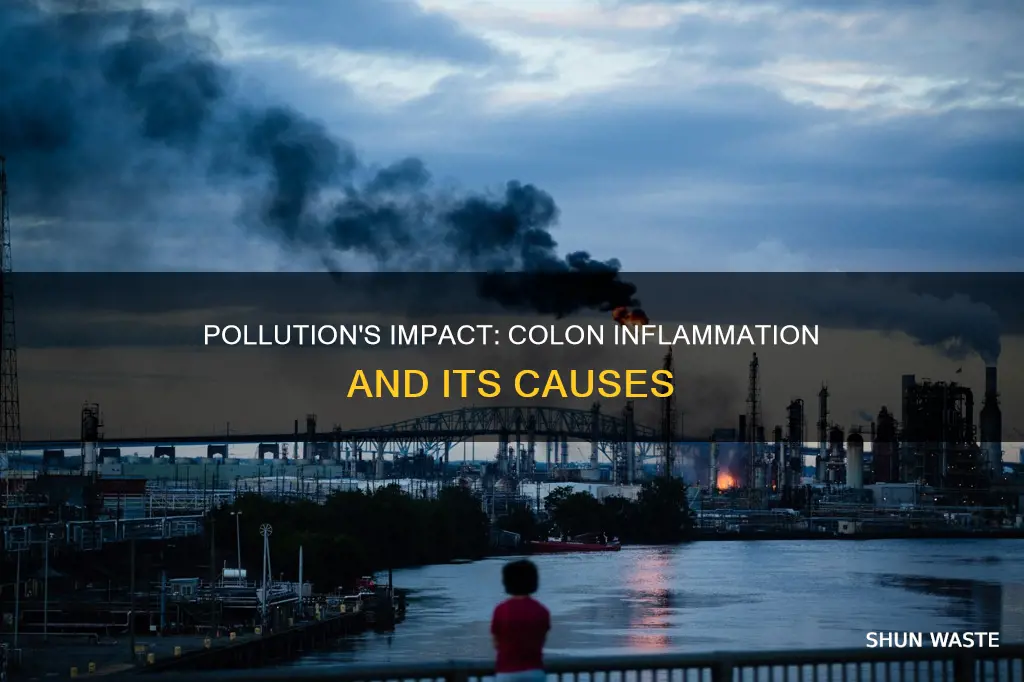 can pollution cause inflammation of the colon