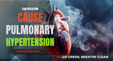 How Pollution Impacts Pulmonary Hypertension Risk