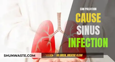 Pollution's Impact: Sinus Infections and Their Environmental Triggers