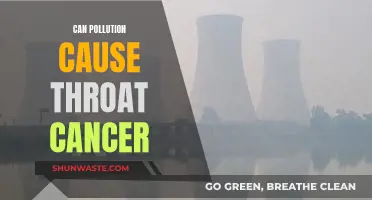 Pollution and Cancer: Is There a Throat Cancer Risk?