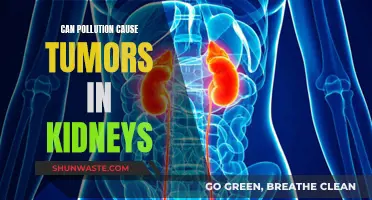 Pollution's Dark Side: Kidney Tumors and Their Causes