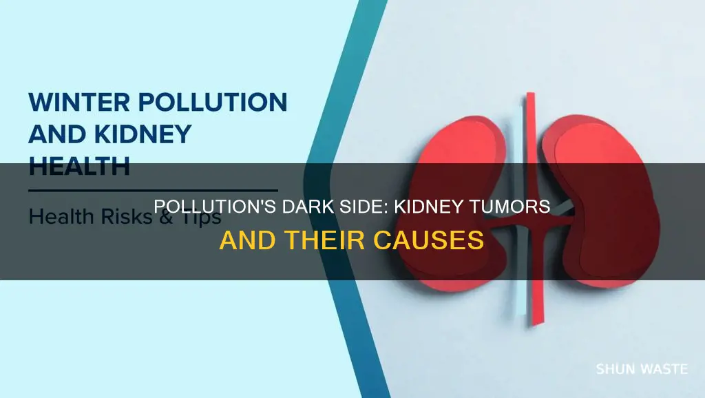 can pollution cause tumors in kidneys