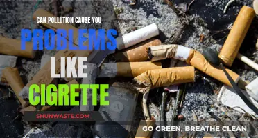 Pollution's Harmful Impact: A Toxic Cigarette-Like Threat