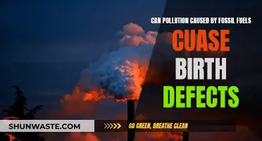 Fossil Fuel Pollution: Birth Defects Culprit?