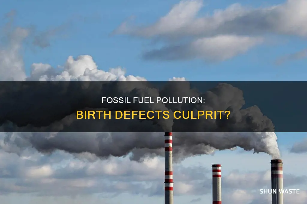 can pollution caused by fossil fuels cuase birth defects