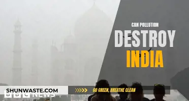 Pollution's Threat to India: A Looming Crisis?