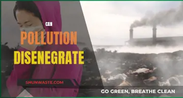 How Pollution Can Disintegrate Our World