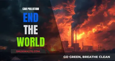 Pollution's End Game: World's Demise?