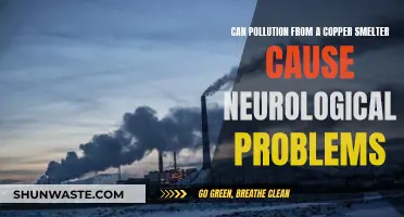 Copper Smelter Pollution: Neurological Impact?