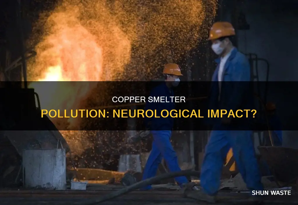 can pollution from a copper smelter cause neurological problems