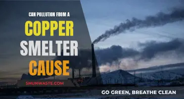 How Copper Smelter Pollution Impacts Our Health