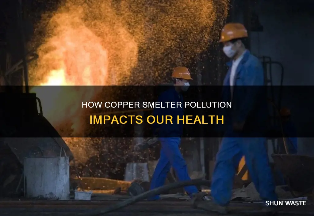 can pollution from a copper smelter cause