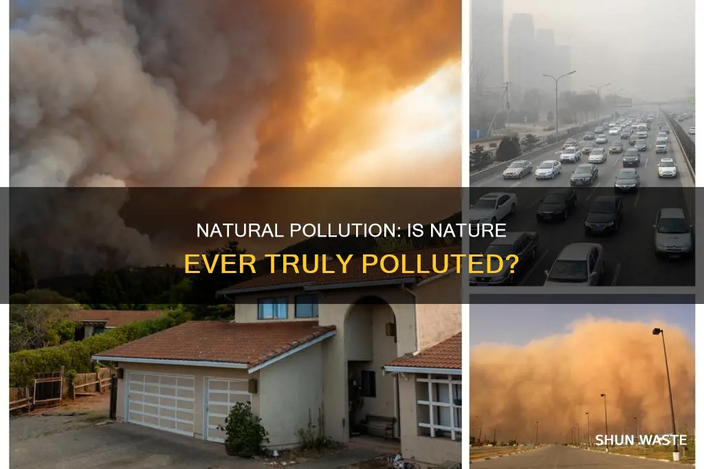 can pollution happen naturally