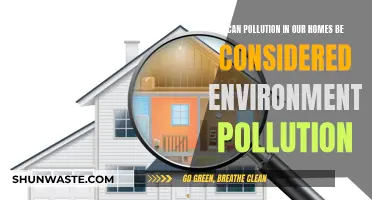 Household Pollution: An Environmental Concern?