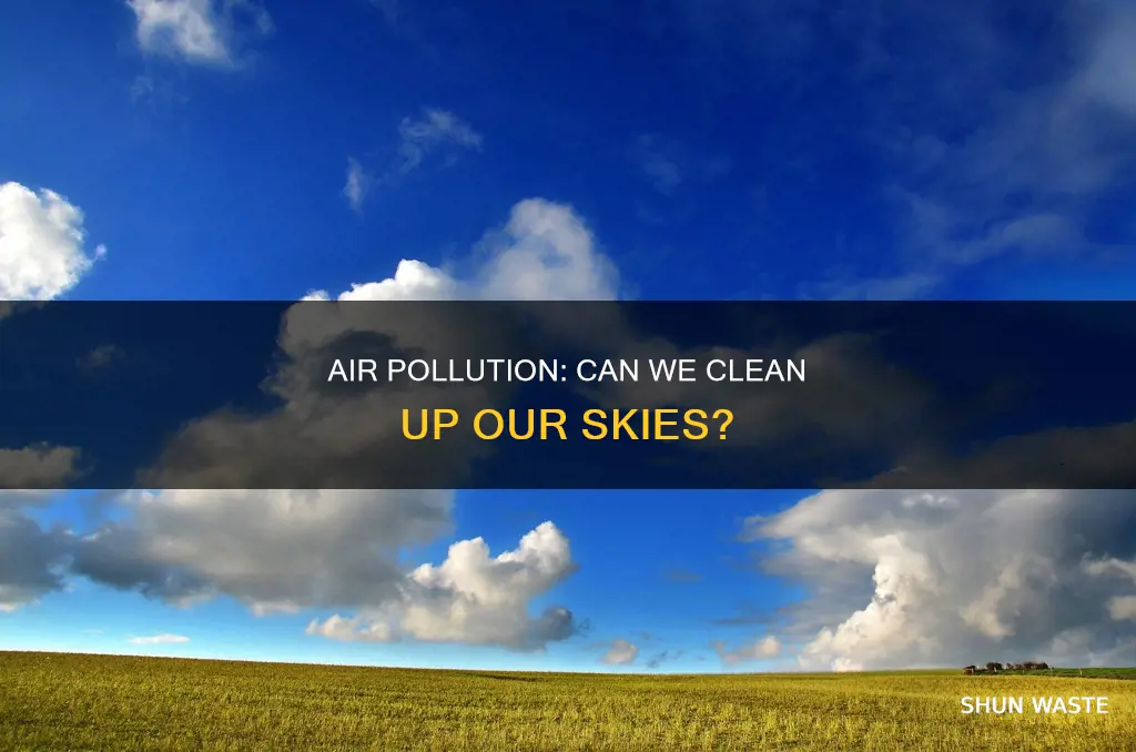 can pollution in the air be cleaned up