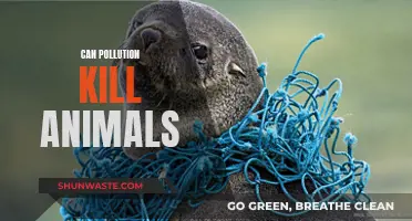 Pollution's Deadly Impact on Animals