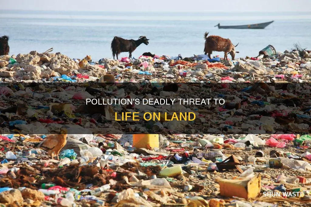 can pollution kill life on land