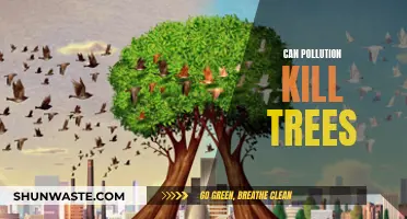 Pollution's Deadly Impact: Can It Kill Trees?