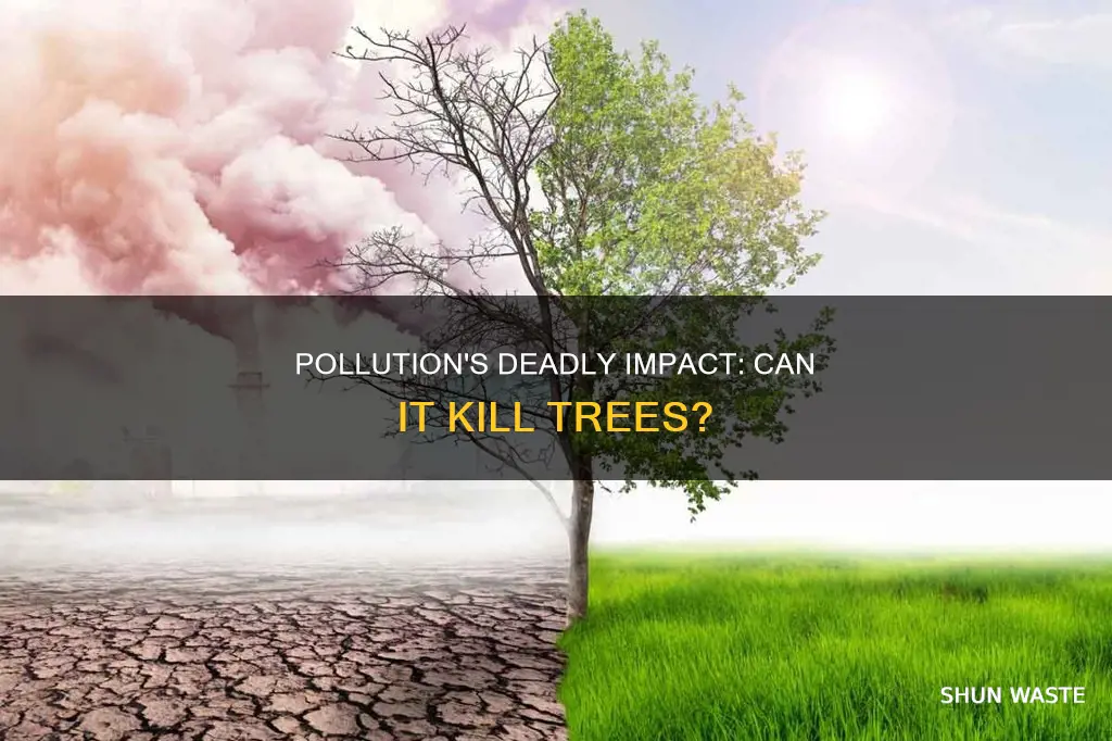 can pollution kill trees