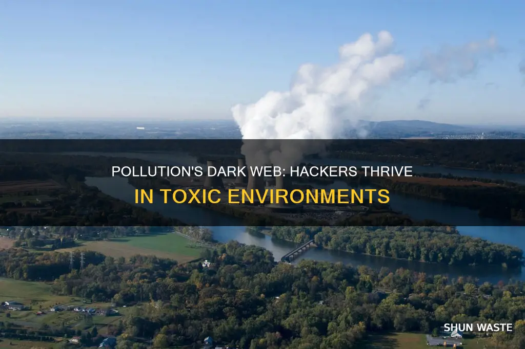 can pollution lead to the increase of hackers