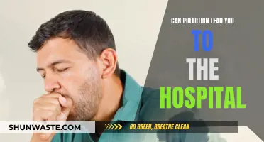 Pollution's Health Impact: Hospital Visits and Costs