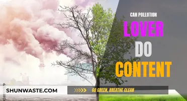 Pollution Lovers: Content Creation Possibilities