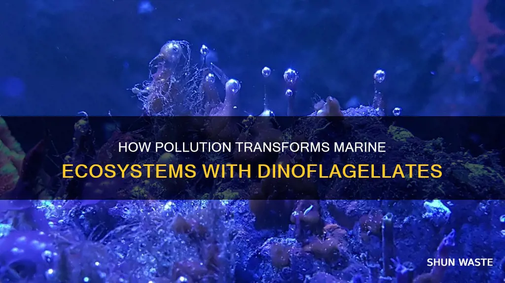 can pollution make predominantly dinoflagellates