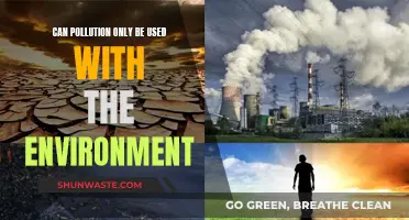 Pollution: Beyond Environmental Harms