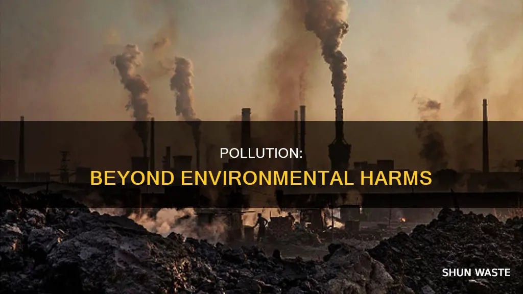 can pollution only be used with the environment