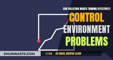 Pollution Trading: Effective Environmental Control?