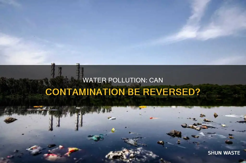 can pollution ruin water