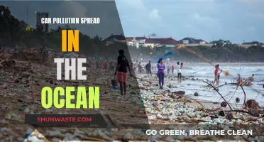 Ocean Pollution: Spreading Impact of Human Activities