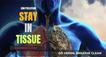 Pollution's Tissue Trail: Can It Stay?