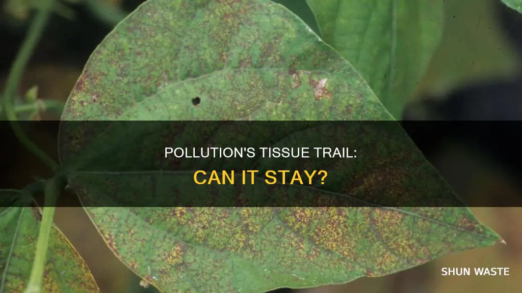 can pollution stay in tissue