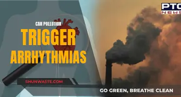 Air Pollution's Harmful Impact: Arrhythmia Triggers and Heart Health